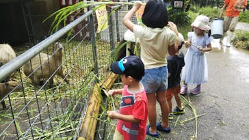 ネオパークオキナワに投稿された画像（2020/7/7）