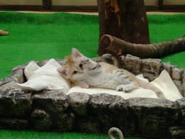 那須どうぶつ王国に投稿された画像（2020/7/7）