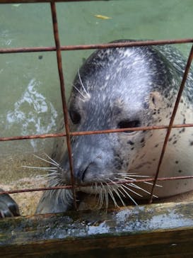 那須どうぶつ王国に投稿された画像（2020/7/7）