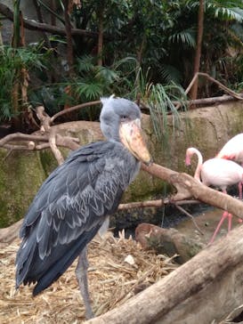 那須どうぶつ王国に投稿された画像（2020/7/7）