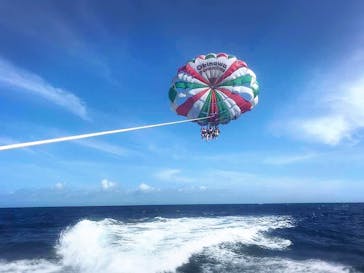 Sea World（シーワールド）に投稿された画像（2020/7/7）