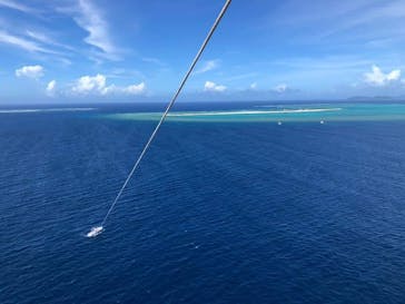 Sea World（シーワールド）に投稿された画像（2020/7/7）