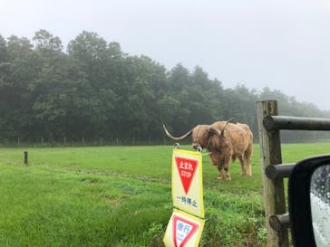 マザー牧場に投稿された画像（2020/7/8）