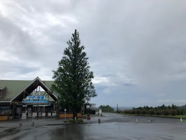 マザー牧場に投稿された画像（2020/7/8）