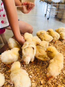 Moff animal cafe MARKIS 福岡ももち店に投稿された画像（2020/7/8）