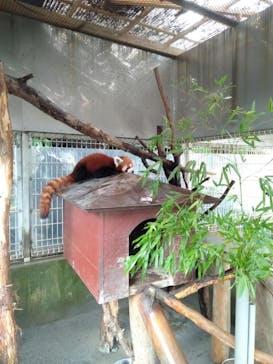 熱川バナナワニ園に投稿された画像（2020/7/8）