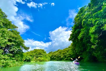 CHOROに投稿された画像（2020/7/9）