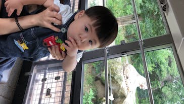 群馬サファリパークに投稿された画像（2020/7/10）