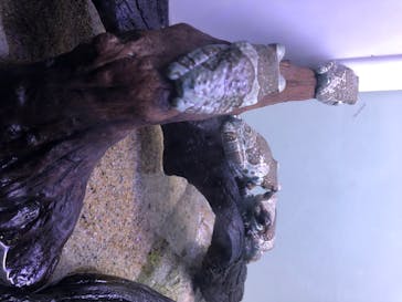 サンシャイン水族館に投稿された画像（2020/7/10）