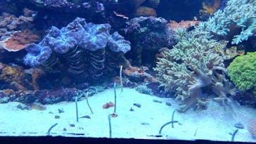 サンシャイン水族館に投稿された画像（2020/7/10）