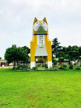 つくばわんわんランドに投稿された画像（2020/7/10）