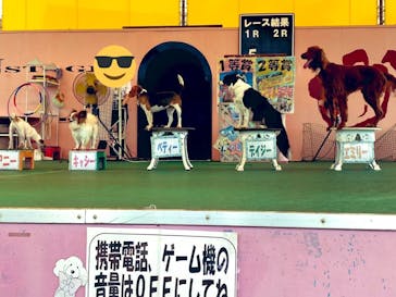 つくばわんわんランドに投稿された画像（2020/7/10）