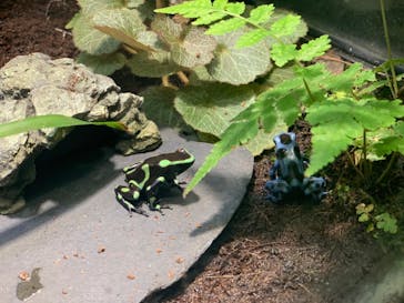 サンシャイン水族館に投稿された画像（2020/7/10）