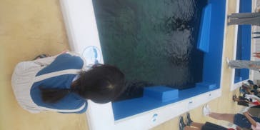 四国水族館に投稿された画像（2020/7/11）