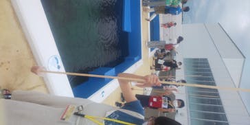 四国水族館に投稿された画像（2020/7/11）