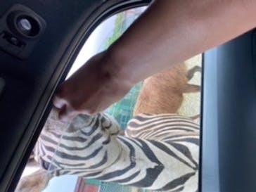 東北サファリパークに投稿された画像（2020/7/11）