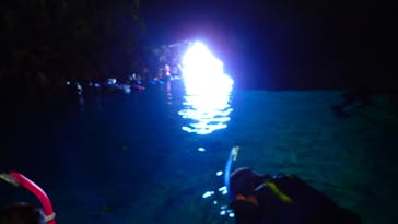 ダイビングショップ Sea Free（シーフリー）に投稿された画像（2020/7/11）