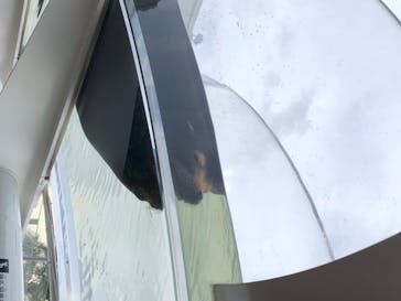 サンシャイン水族館に投稿された画像（2020/7/11）