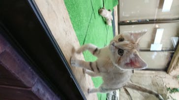 那須どうぶつ王国に投稿された画像（2020/7/11）