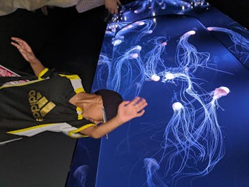 サンシャイン水族館に投稿された画像（2020/7/11）