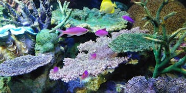 サンシャイン水族館に投稿された画像（2020/7/11）