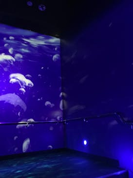 サンシャイン水族館に投稿された画像（2020/7/11）