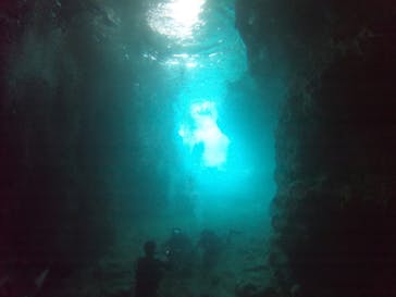 武藤潜水に投稿された画像（2020/7/12）