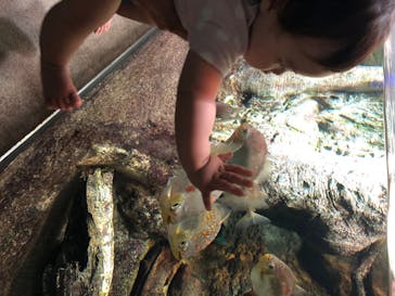 サンシャイン水族館に投稿された画像（2020/7/12）