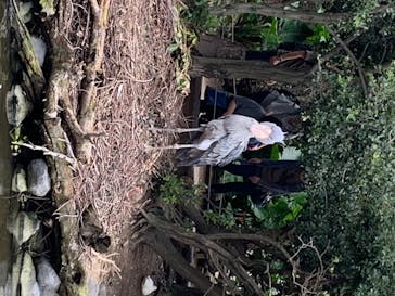 神戸どうぶつ王国に投稿された画像（2020/7/12）