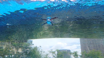 サンシャイン水族館に投稿された画像（2020/7/12）