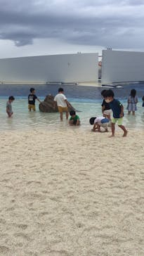 大分マリーンパレス水族館 「うみたまご」に投稿された画像（2020/7/12）