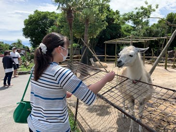 伊豆シャボテン動物公園に投稿された画像（2020/7/12）