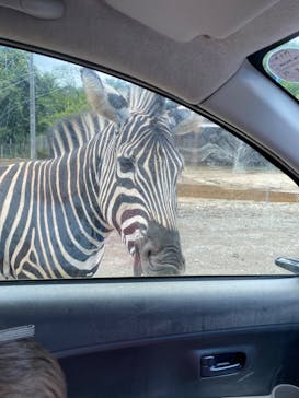 東北サファリパークに投稿された画像（2020/7/12）