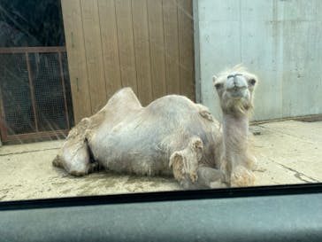 東北サファリパークに投稿された画像（2020/7/12）