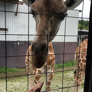 那須サファリパークに投稿された画像（2020/7/12）