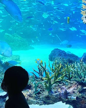 サンシャイン水族館に投稿された画像（2020/7/12）