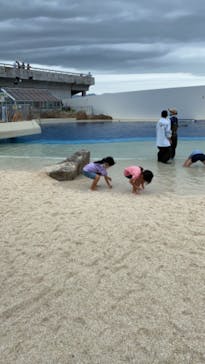 大分マリーンパレス水族館 「うみたまご」に投稿された画像（2020/7/12）