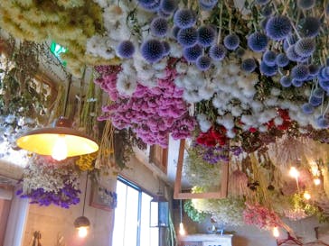 ドライフラワーと暮らしのお店 その灯ぐらし 猫洞店に投稿された画像（2020/7/12）