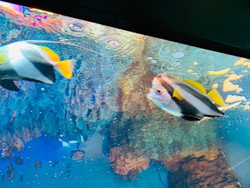 サンシャイン水族館に投稿された画像（2020/7/12）