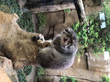 那須どうぶつ王国に投稿された画像（2020/7/12）