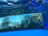 サンシャイン水族館に投稿された画像（2020/7/12）