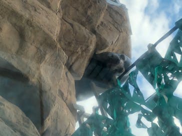 サンシャイン水族館に投稿された画像（2020/7/12）