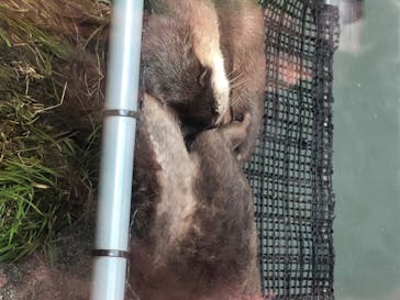 サンシャイン水族館に投稿された画像（2020/7/12）