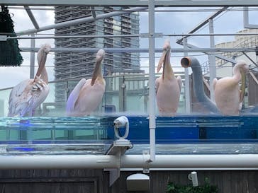 サンシャイン水族館に投稿された画像（2020/7/12）