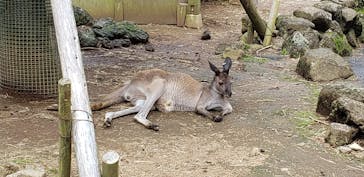 伊豆シャボテン動物公園に投稿された画像（2020/7/12）