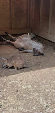 伊豆シャボテン動物公園に投稿された画像（2020/7/12）