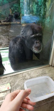 伊豆シャボテン動物公園に投稿された画像（2020/7/12）