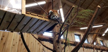伊豆シャボテン動物公園に投稿された画像（2020/7/12）