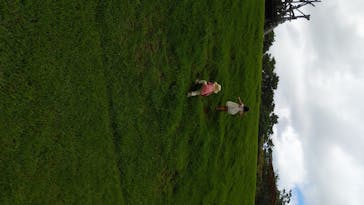 ビオスの丘に投稿された画像（2020/7/12）