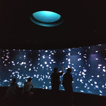 サンシャイン水族館に投稿された画像（2020/7/13）